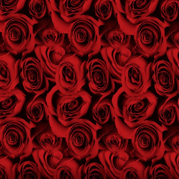 WTP-954-Black-Roses