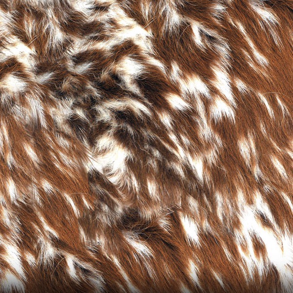 WTP-D123A-Cowhide